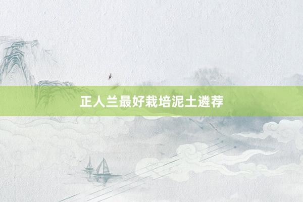 正人兰最好栽培泥土遴荐