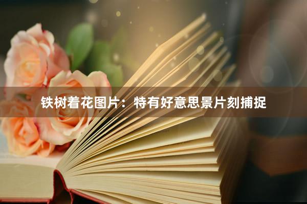 铁树着花图片：特有好意思景片刻捕捉
