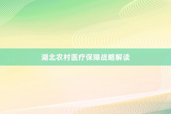 湖北农村医疗保障战略解读