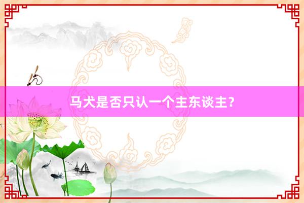 马犬是否只认一个主东谈主？