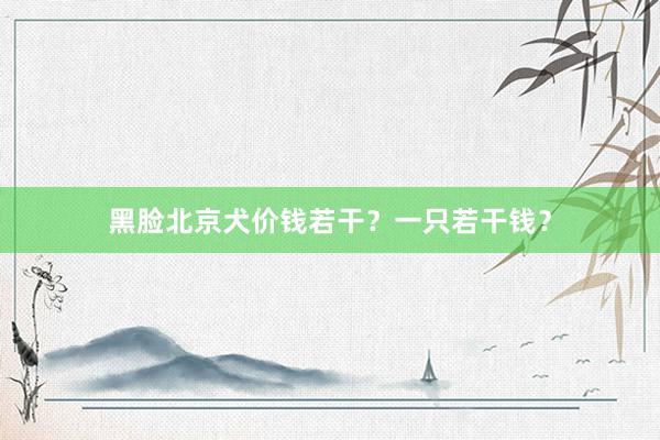 黑脸北京犬价钱若干？一只若干钱？